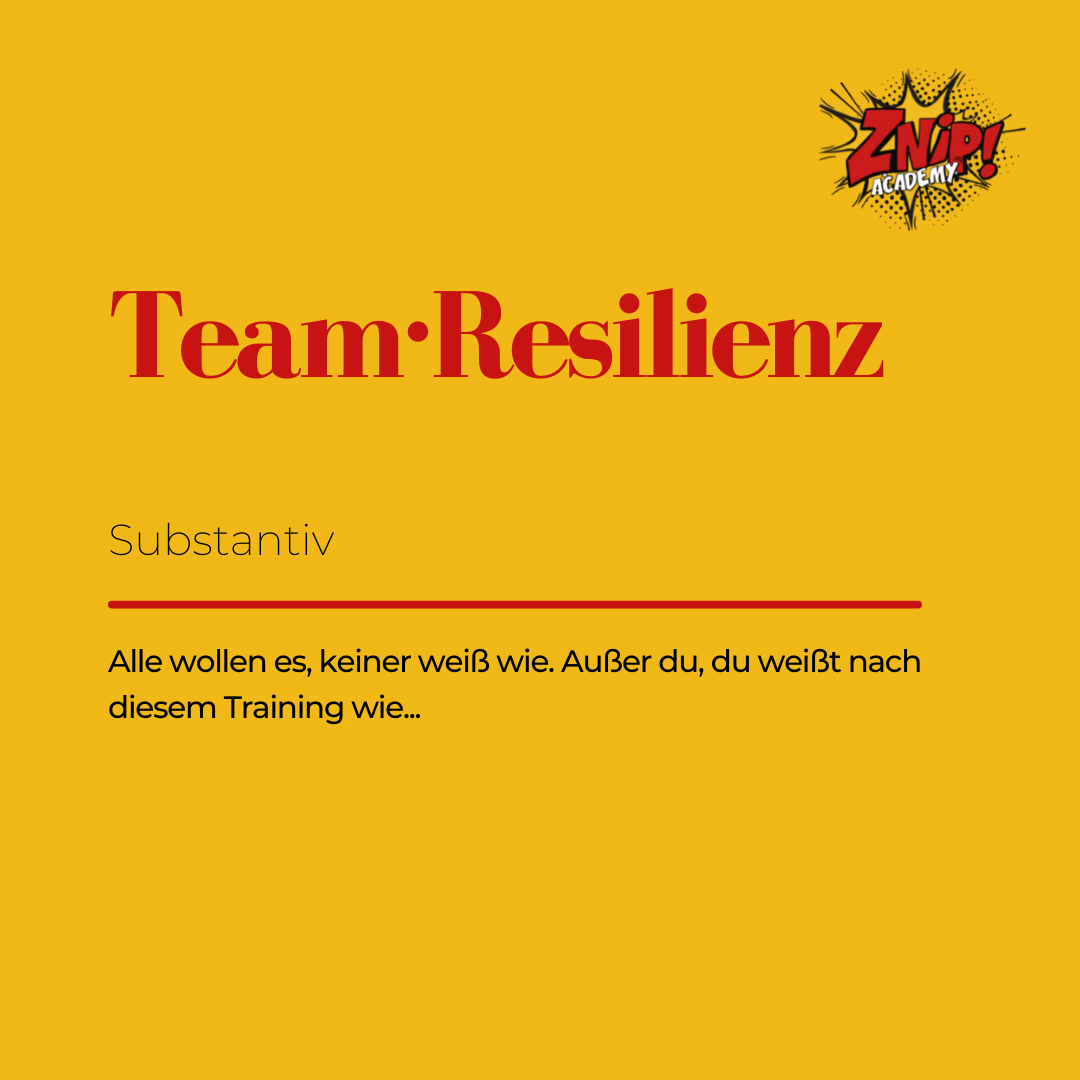 Team Resilienz Definition